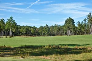 Tree Farm 11th Zoom